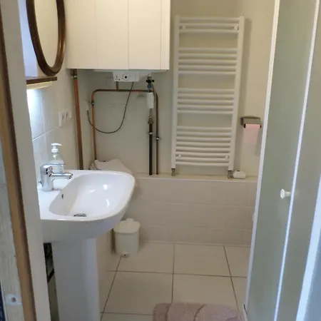 Studio-appartement à Proximité D'une Maison De Maître De 1904 Haguenau