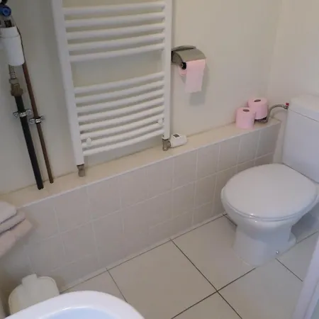 Studio-appartement à Proximité D'une Maison De Maître De 1904 * Haguenau